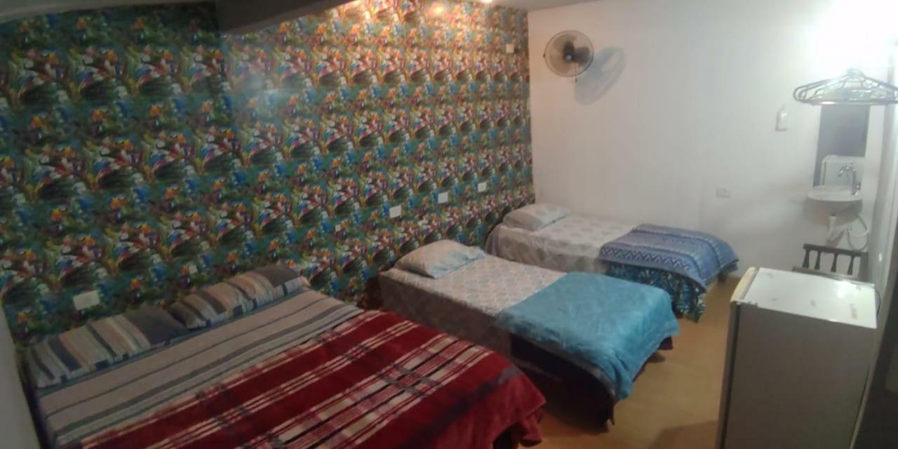 Nomadehostel - Madalena 民宿 圣保罗